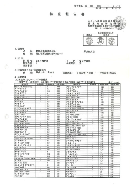 H21 toyomi.jpg